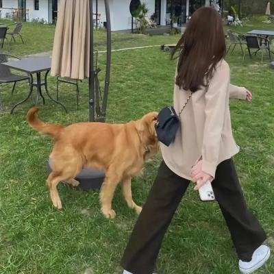 暗藏杀机